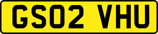 GS02VHU