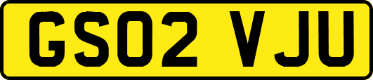 GS02VJU