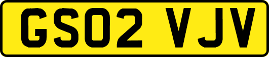 GS02VJV