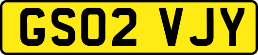 GS02VJY