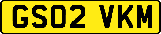 GS02VKM