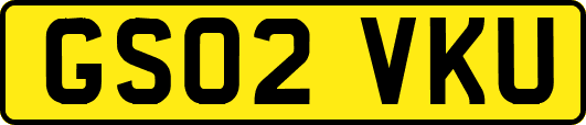 GS02VKU