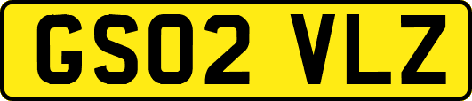 GS02VLZ