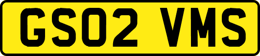 GS02VMS