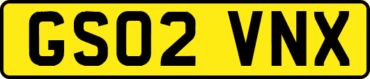 GS02VNX