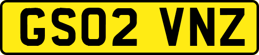 GS02VNZ