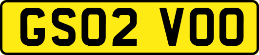 GS02VOO