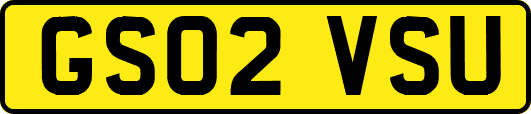 GS02VSU