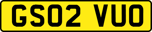 GS02VUO