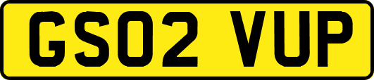 GS02VUP