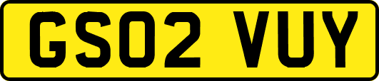 GS02VUY