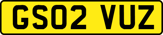 GS02VUZ