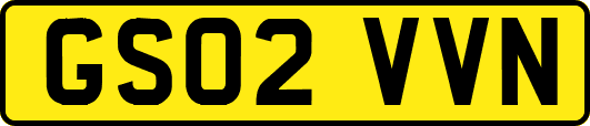 GS02VVN
