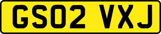 GS02VXJ
