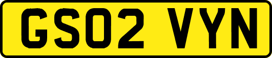 GS02VYN