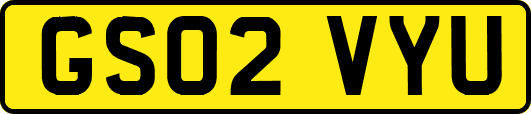 GS02VYU