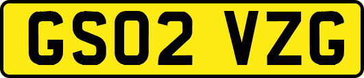 GS02VZG