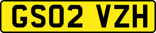 GS02VZH