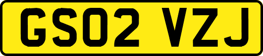 GS02VZJ