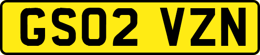 GS02VZN
