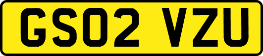 GS02VZU
