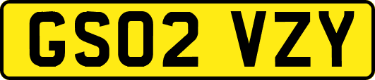 GS02VZY