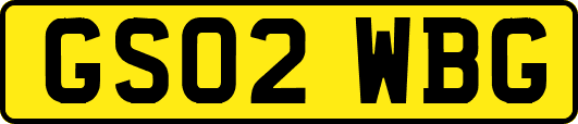 GS02WBG