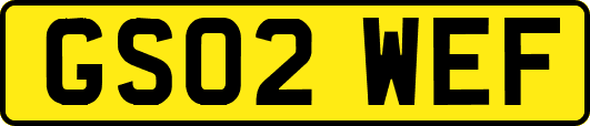 GS02WEF