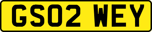 GS02WEY