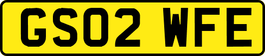 GS02WFE