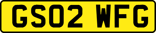 GS02WFG