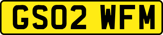 GS02WFM