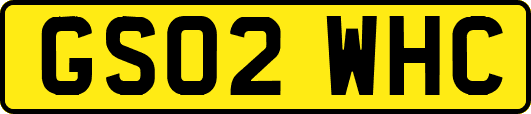 GS02WHC