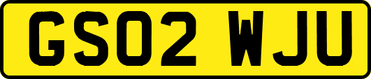 GS02WJU