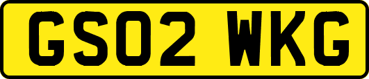 GS02WKG