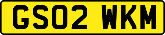 GS02WKM