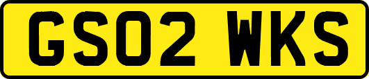 GS02WKS