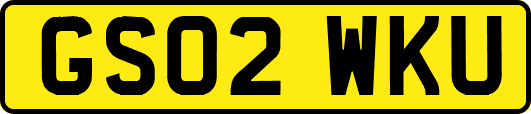 GS02WKU