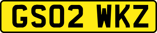 GS02WKZ