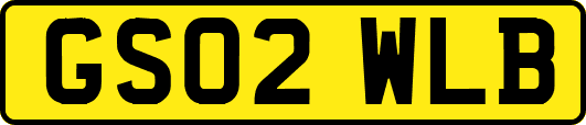 GS02WLB