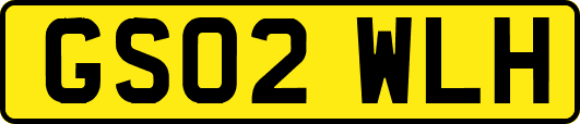 GS02WLH