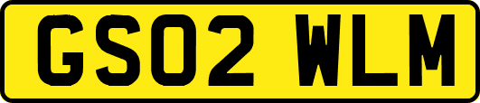 GS02WLM