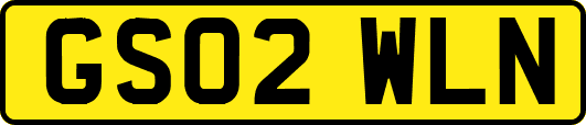 GS02WLN