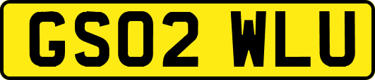 GS02WLU