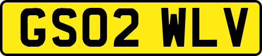 GS02WLV