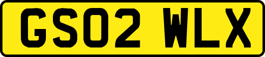 GS02WLX