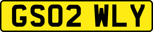 GS02WLY