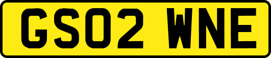 GS02WNE