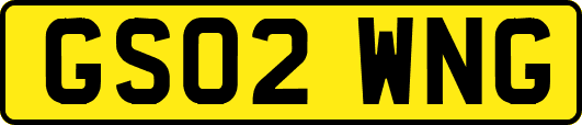 GS02WNG