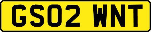 GS02WNT